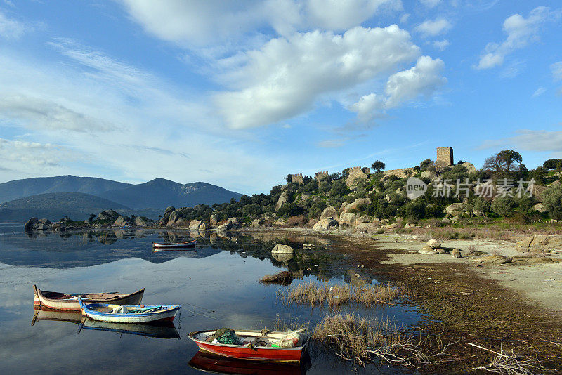 Bafa Lake - Aydin -火鸡